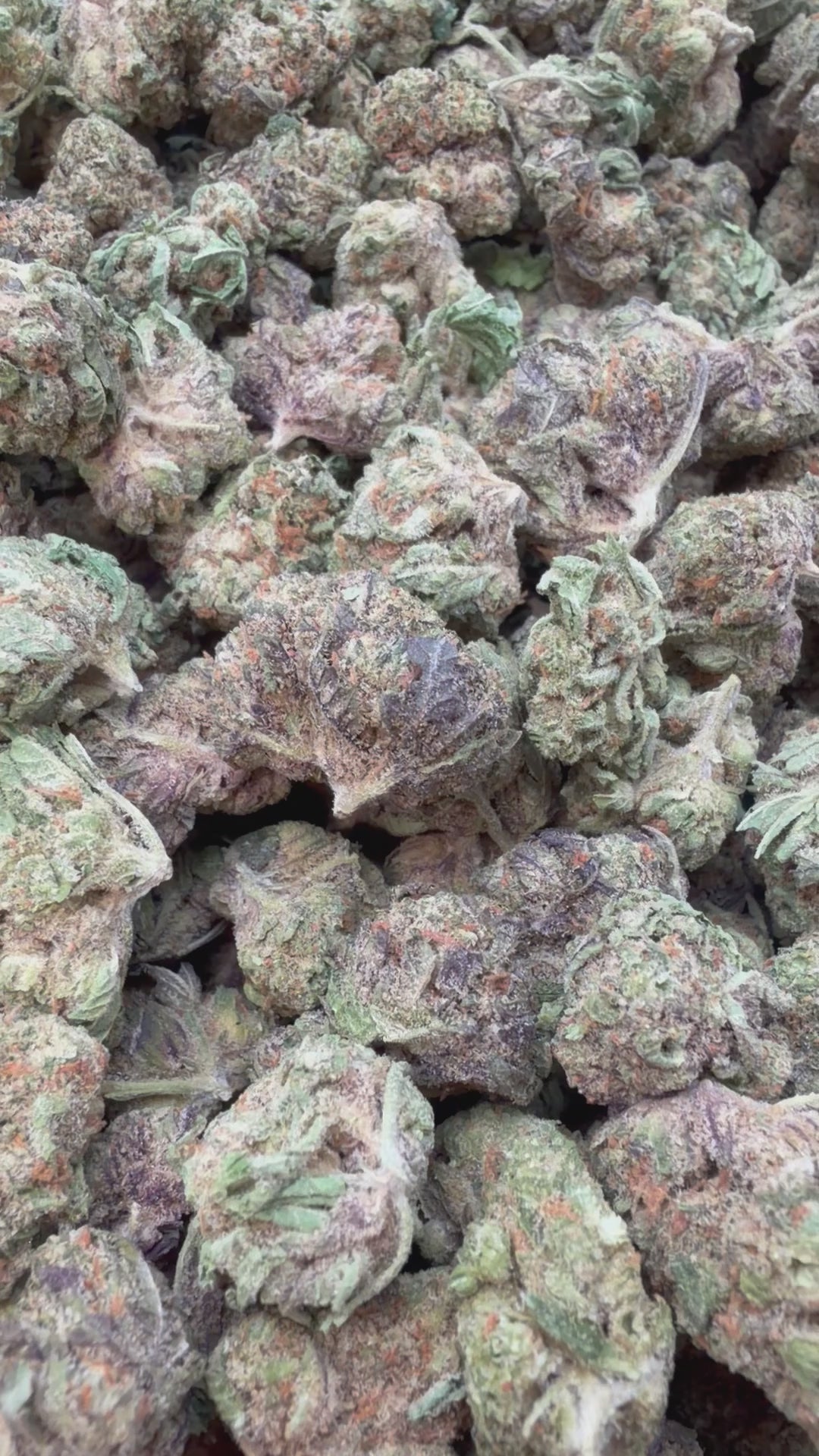 Load video: 24K Gold Mediums - Bulk Mediums - Hybrid