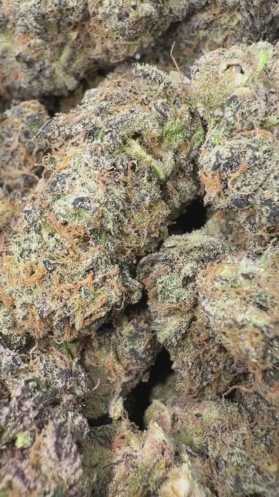 Load video: Jack Murphy - Bulk - Hybrid