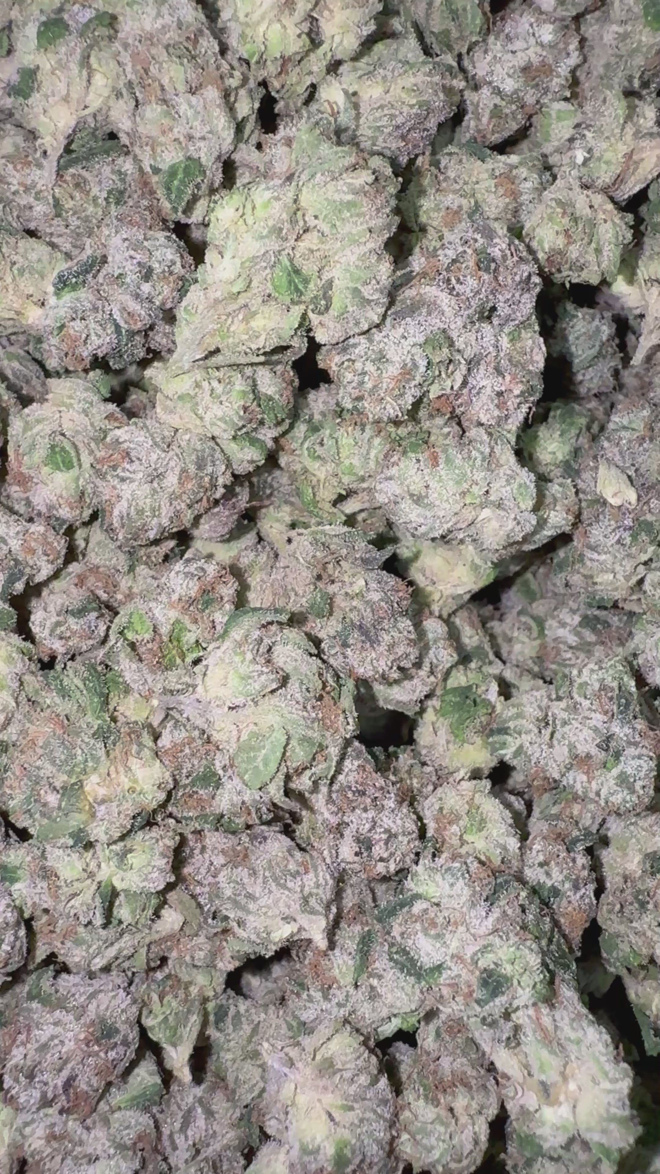 Load video: Boutique Mylar Magic - 28 Grams - Hybrid