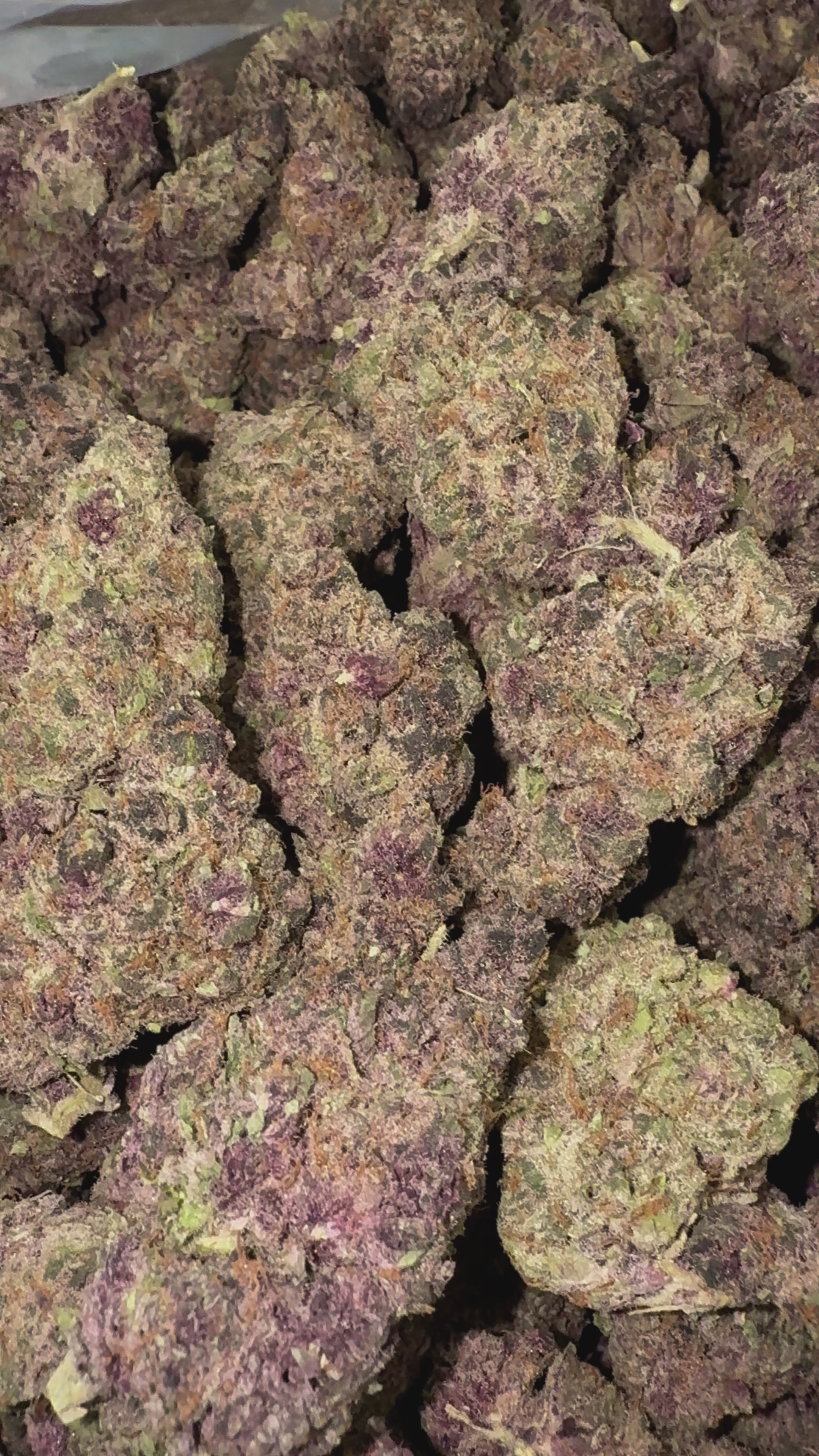 Load video: Purple Trainwreck - Bulk - Sativa