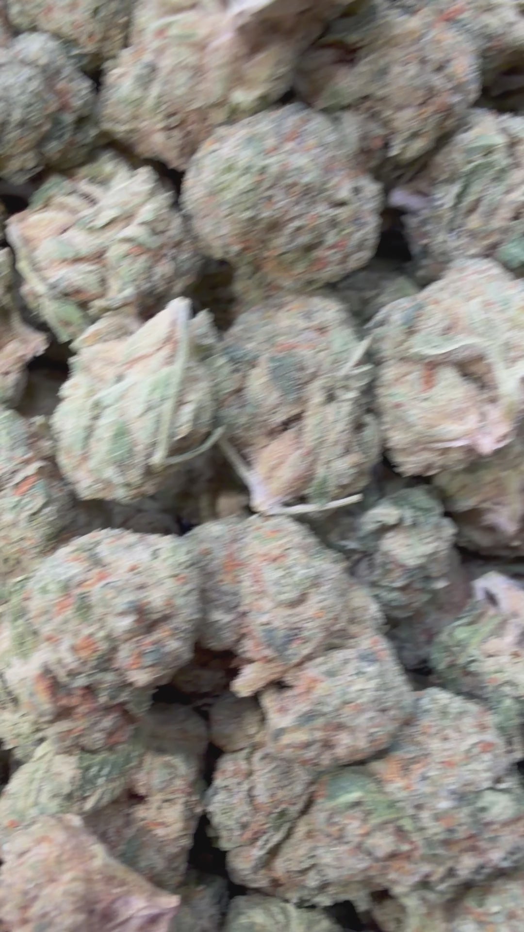 Load video: Blue Lemons Mediums - Bulk Mediums - Indica