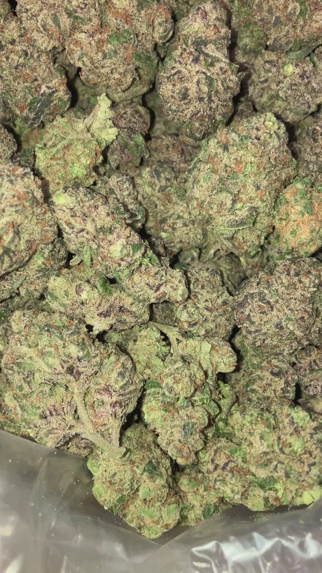 Load video: LCG x RUNTZ - Bulk - Indica