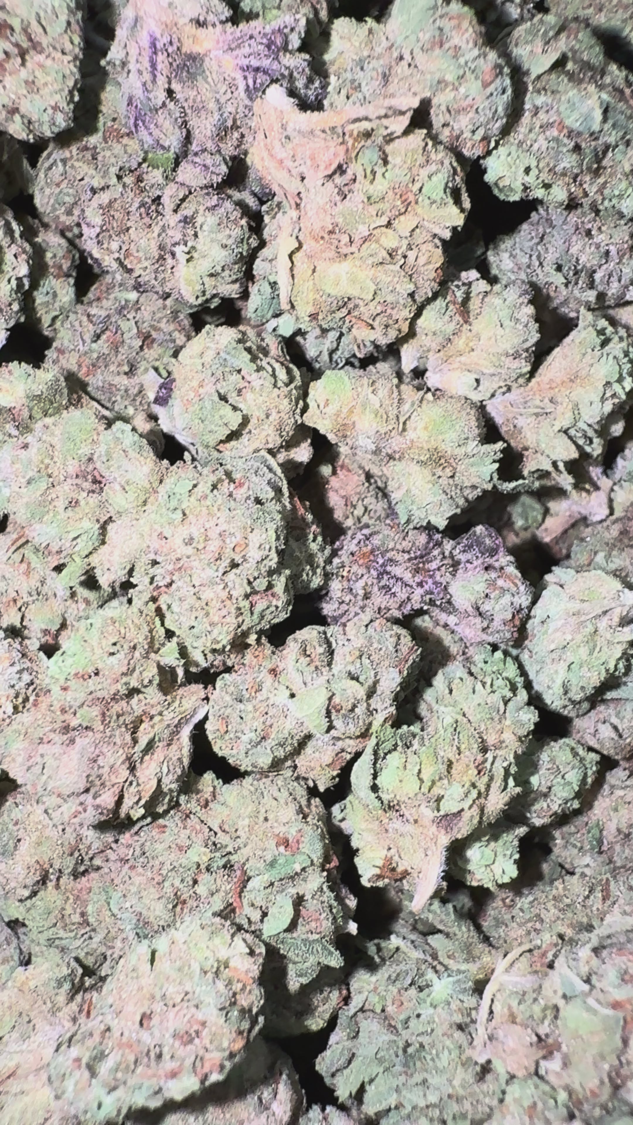 Load video: Cookie Fuel Littles - Bulk Littles - Hybrid